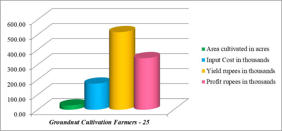 Groundnut Cultivation